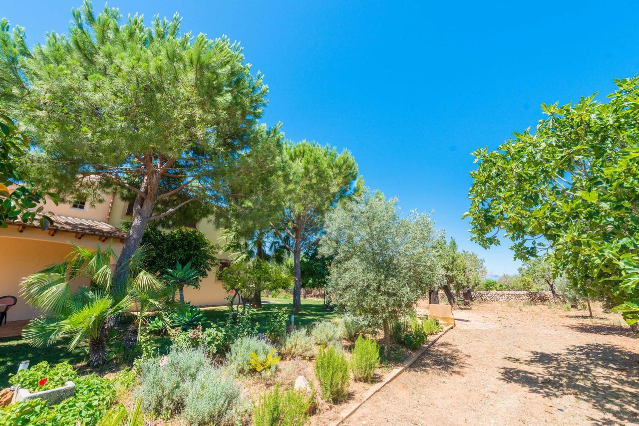 Clau De Sol Can Picafort (Mallorca)