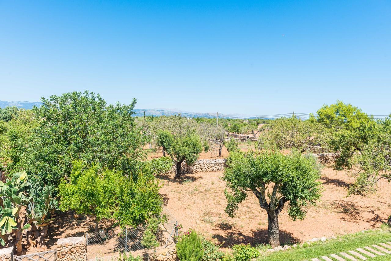 Clau De Sol Villa