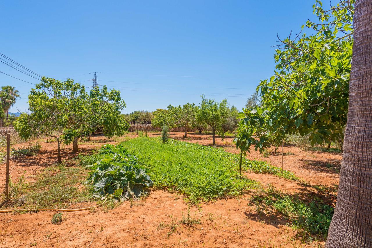Villa Clau De Sol Can Picafort (Mallorca)