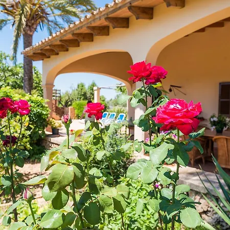 Clau De Sol Villa Can Picafort  Exterior photo