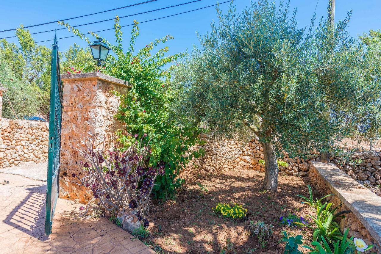 Clau De Sol * Can Picafort (Mallorca)