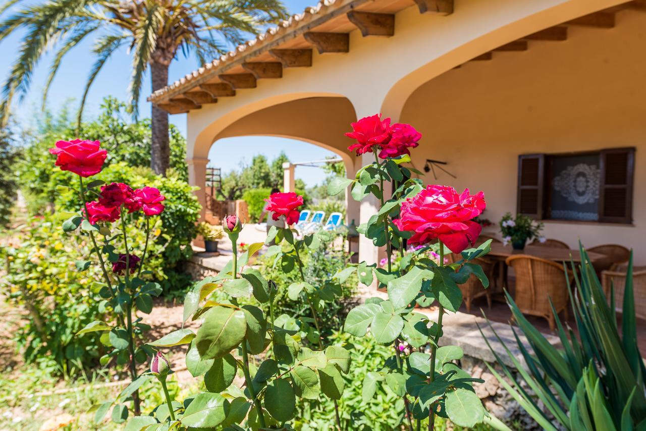 Clau De Sol * Can Picafort (Mallorca)